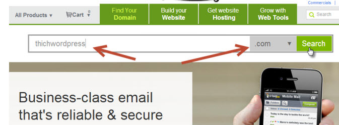 Nhập domain cần kiểm tra và mua