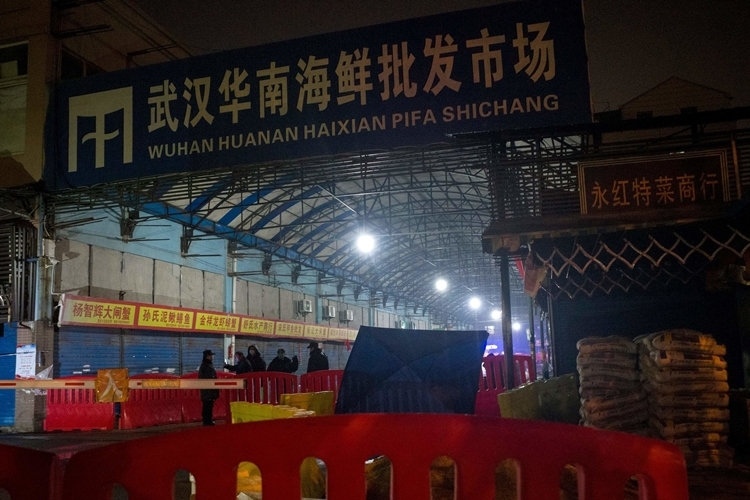 Chợ hải sản Hoa Nam ở Vũ Hán ngày 11/1. Ảnh: AFP.