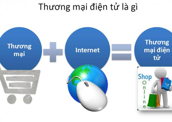 Thương mại điện tử Việt Nam, bán hàng trực tuyến năm 2015