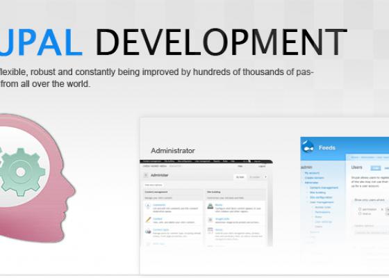 4 công cụ cần thiết cho Drupal development