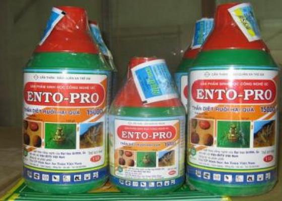 ENTO-PRO 150DD – chế phẩm sinh học diệt trừ ong ruồi