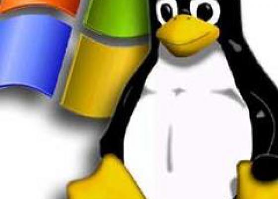 Sự khác biệt giữa hosting Linux và Windows
