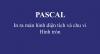 Bài tập Pascal: In ra màn hình diện tích và chu vi của hình tròn
